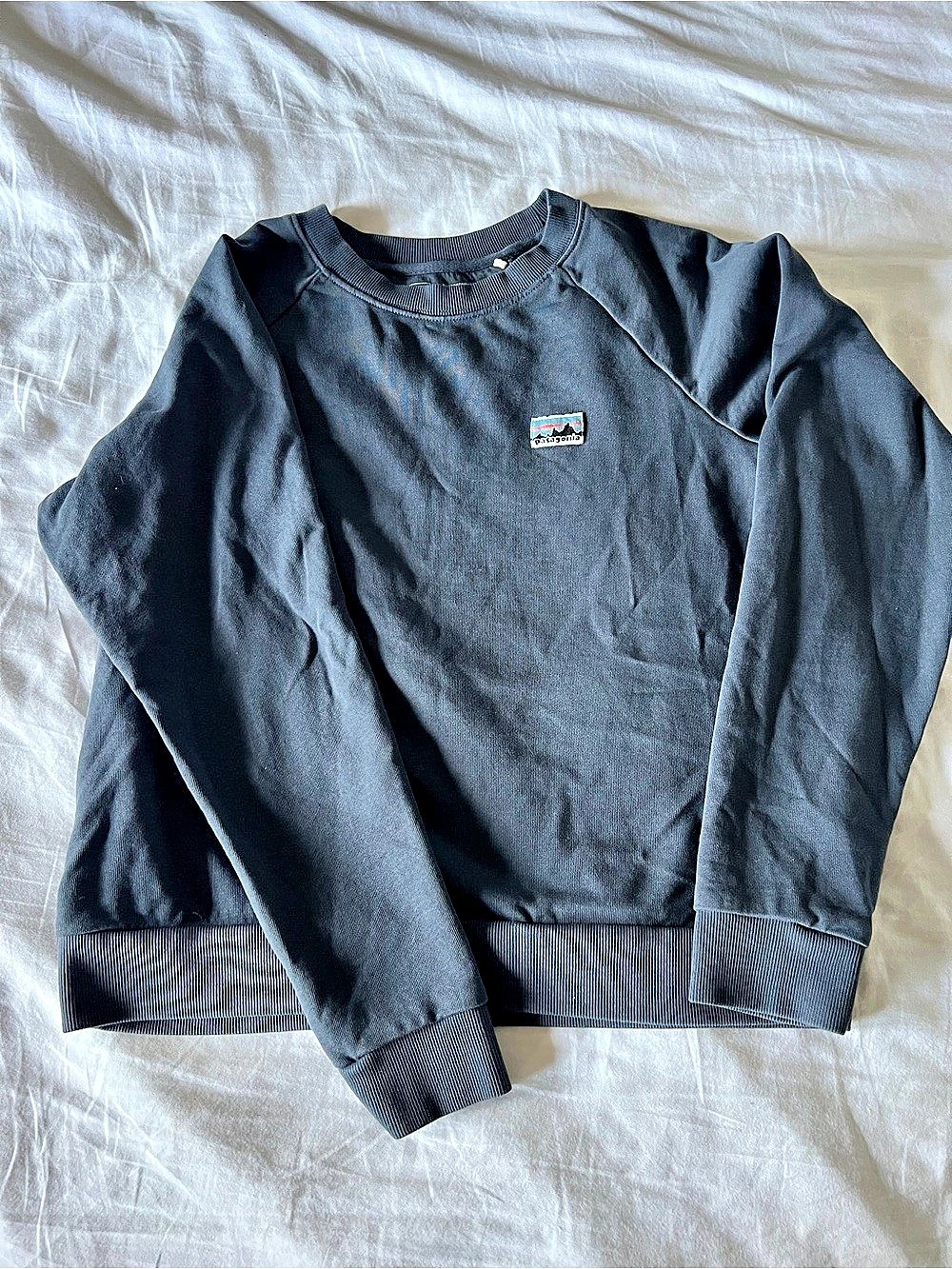 Patagonia Crew Sweatshirt Small